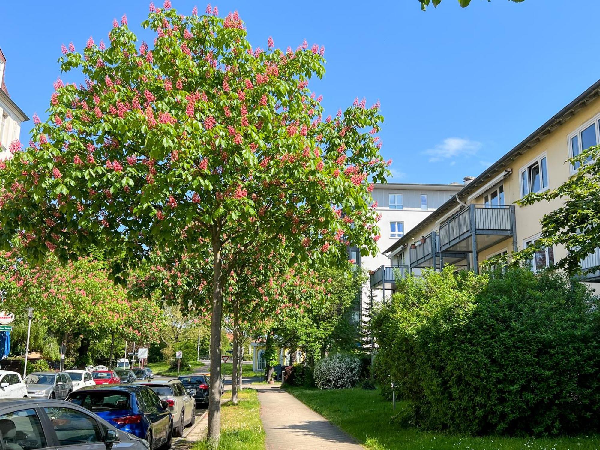 קאסל New-York Appartment, 2 Zimmer, Zentral Naehe Bahnhof Wilhelmshoehe מראה חיצוני תמונה